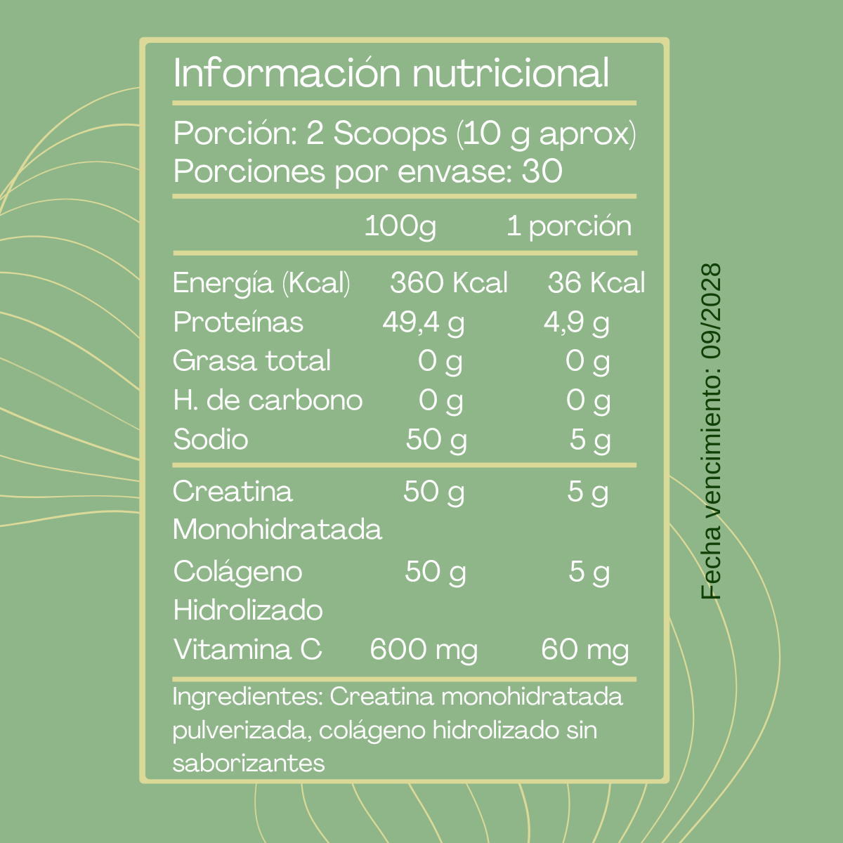 RegenX Creatina+Colágeno+Vitamina C |300 g