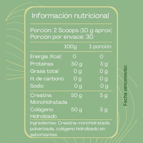 Suplemento Creatina + Colágeno RegenX de VitalisChile – Apoyo muscular y articular