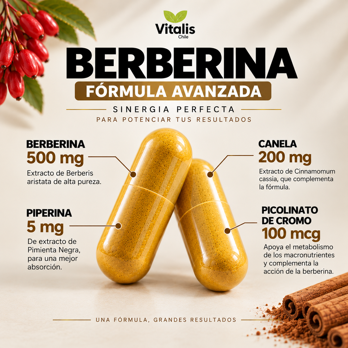 Berberina HCL 500 mg 90 Capsulas