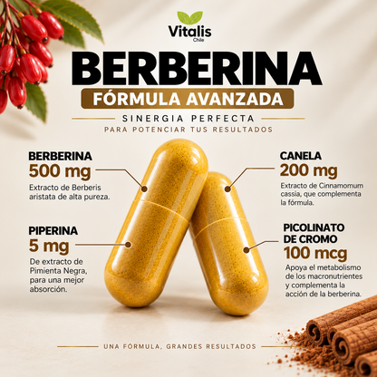 Berberina HCL 500 mg 90 Capsulas