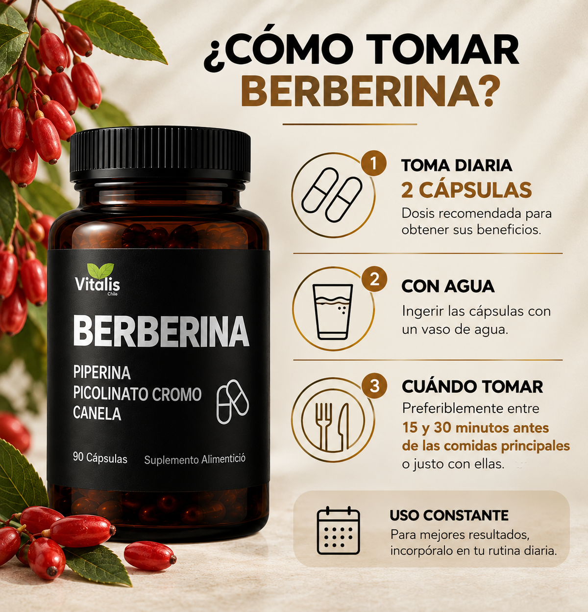 Berberina HCL 500 mg 90 Capsulas